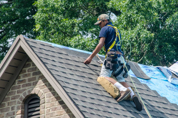 Best Metal Roofing Contractor  in Seco Mines, TX